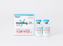 イヌインターフェロン製剤 インタードッグ®