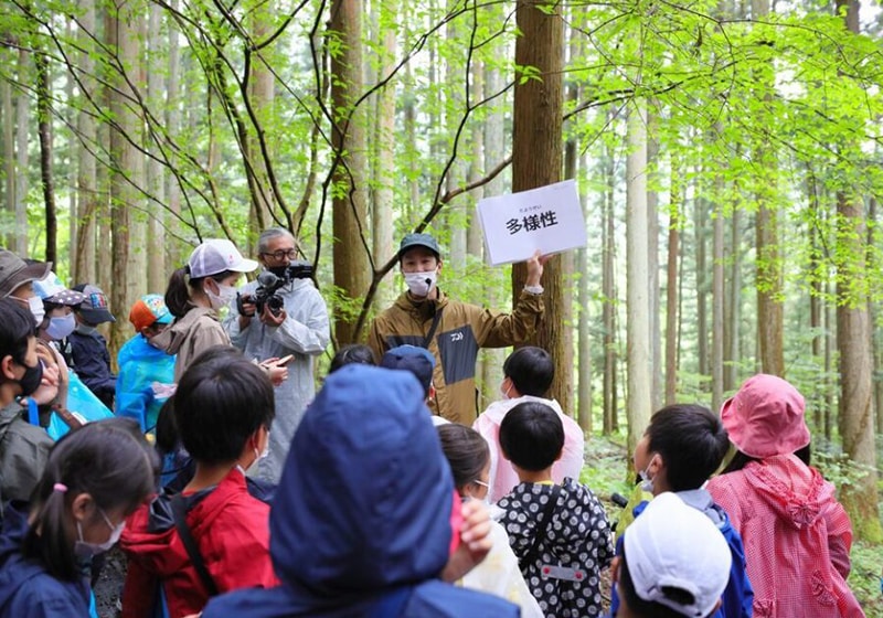 Learning about the wonder of trees from a forest expert