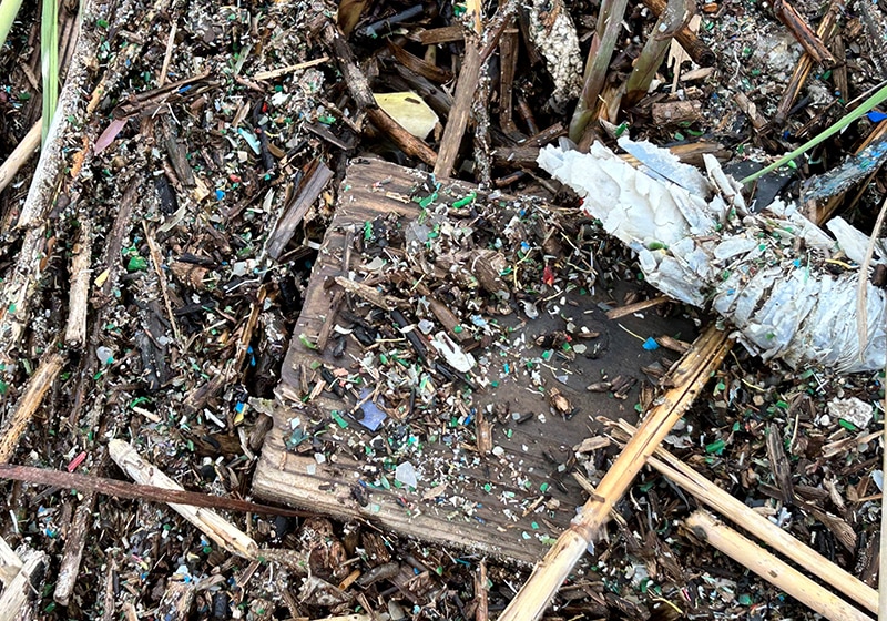 An abundance of microplastics were particularly noticeable during the clean-up.