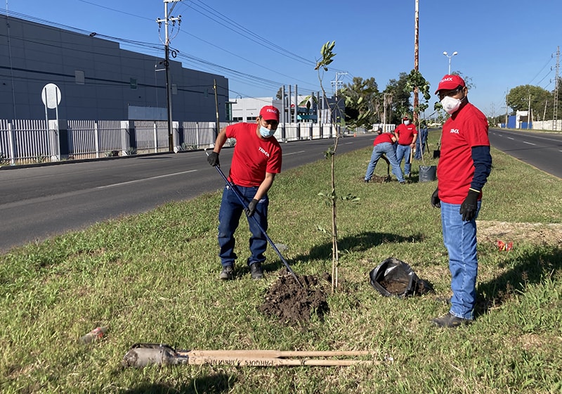 In collaboration with the Mexican city of El Salto, employees planted trees along an industrial road near the plant. Planting trees helps to stabilize temperatures in the area, promote rainwater absorption, and maintain water quantity and quality. In addition to enhancing the landscape, trees can also help with ecosystem conservation. (Toray Resin Mexico, S.A. de C.V.)