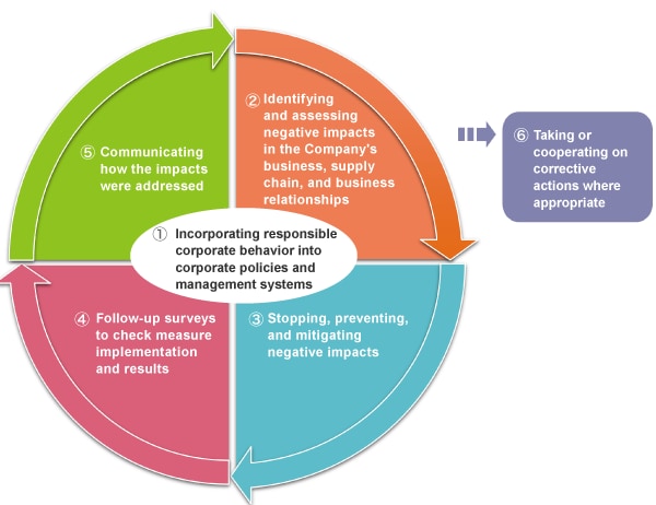 Supply Chain Due Diligence Process