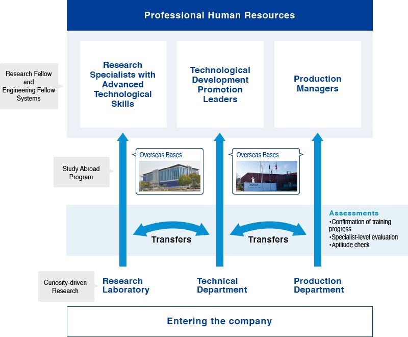 we use various human resource systems to promote an energetic corporate atmosphere in which bold personnel are encouraged to play an active role.