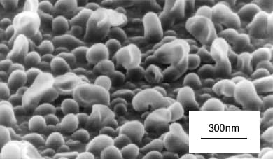 Surface of high-performance RO membranes synthesized with precise interface polymerization