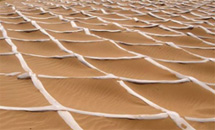砂漠砂移動防止実験