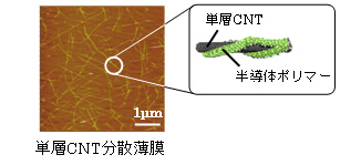 単層CNT分散薄膜