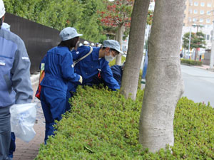 街路樹の植え込みの中まで、しっかり探します２