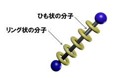 参考図(a)