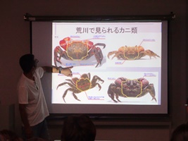 荒川に生息する生き物を学ぶ