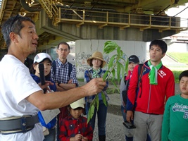 外来植物の繁茂について知る