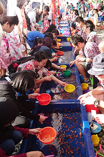 金魚すくいは今年も大盛況でした