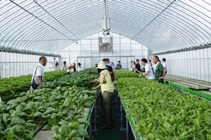 京都府精華町の自社農園「トレファームラボ」でのシェアリング風景