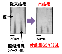 図2　擬似汚泥を用いたMBR運転後の膜画像