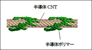 CNT複合体