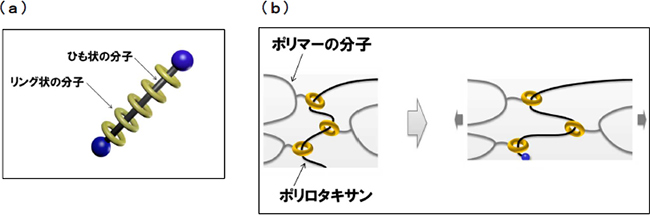 図1．分子の模式図