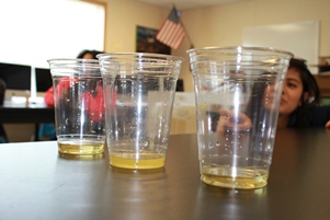 生徒たちがオレンジジュースをろ過して作った砂糖水を見比べている総務部のJanice Laurenoさん（右）