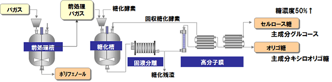 バガスからのセルロース糖・オリゴ糖・ポリフェノールを製造フロー