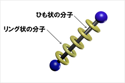図1．分子の模式図a