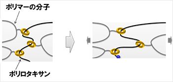 図1．分子の模式図b