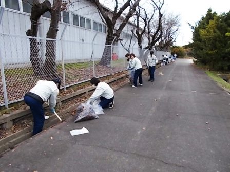 ゴミを一生懸命拾う参加者の皆さん