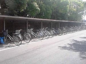 清掃風景２