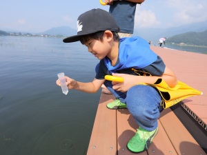 河口湖畔での水浄化実験