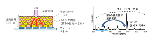 本技術を適用したX線シンチレータパネル図(左)と光の波長変換を表した表(右)