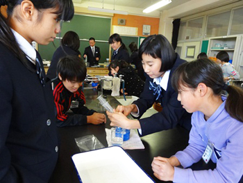小学生と中学生の混合班で実験を進める子供たち