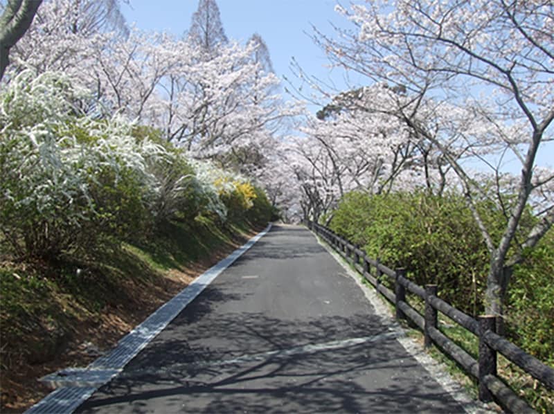 園山公園緑地