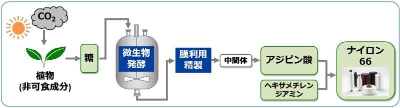 【非可食バイオマス由来の糖からナイロン66までのプロセス全体図】