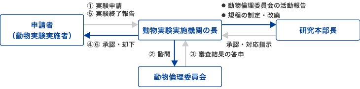 動物実験計画の審査および報告体制