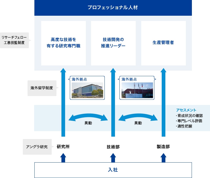 活性化された組織風土づくり