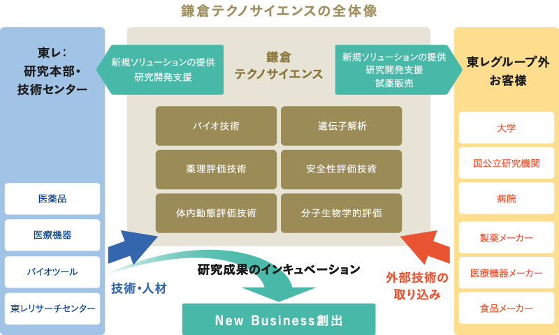 鎌倉テクノサイエンスの全体像