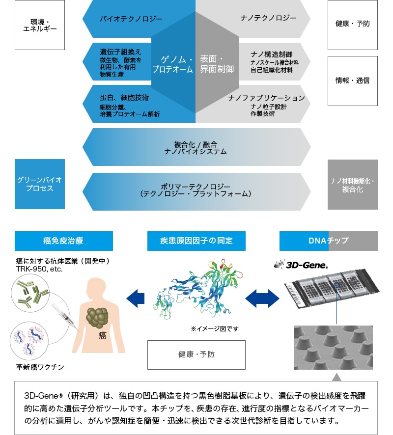 研究分野