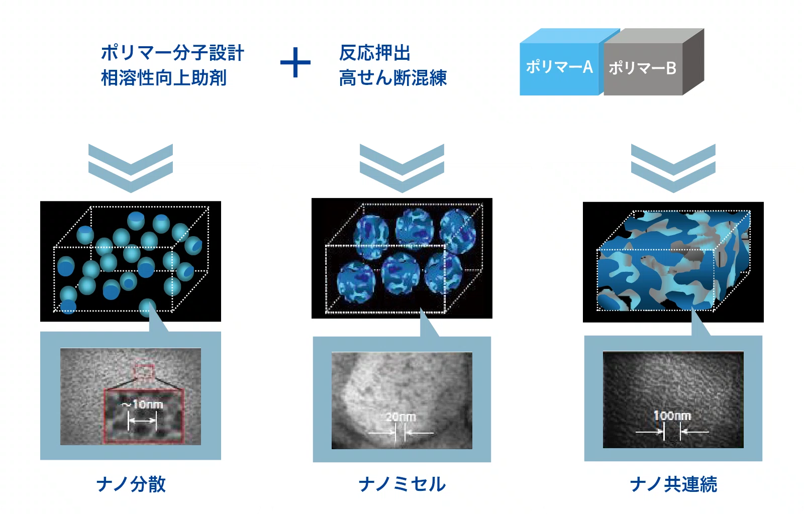 ポリマー分子設計 相溶性向上助剤 + 反応押出 高せん断混練 ナノ分散 ナノミセル ナノ共連続