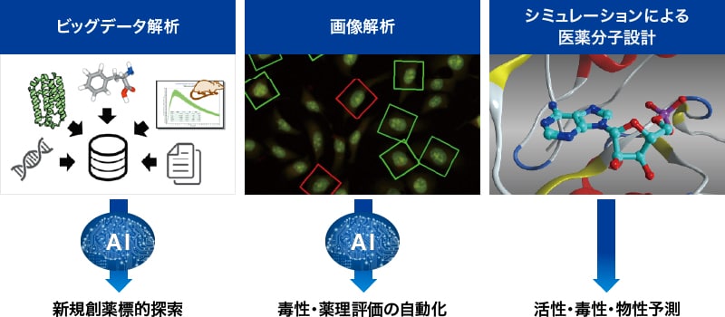 ビッグデータ解析 / 画像解析 / シミュレーションによる医薬分子設計